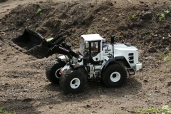 BBRA0033